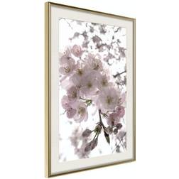 Arkiio Affisch Cherry Blossoms [Poster] 40x60 Poster